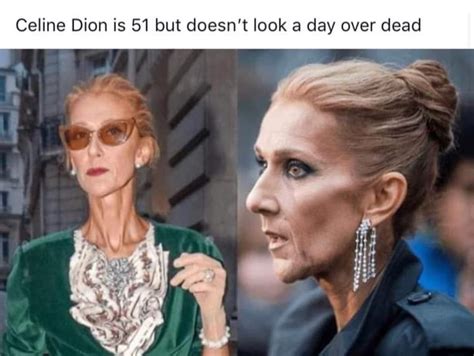 best celine dion memes|Celine Dion funny.